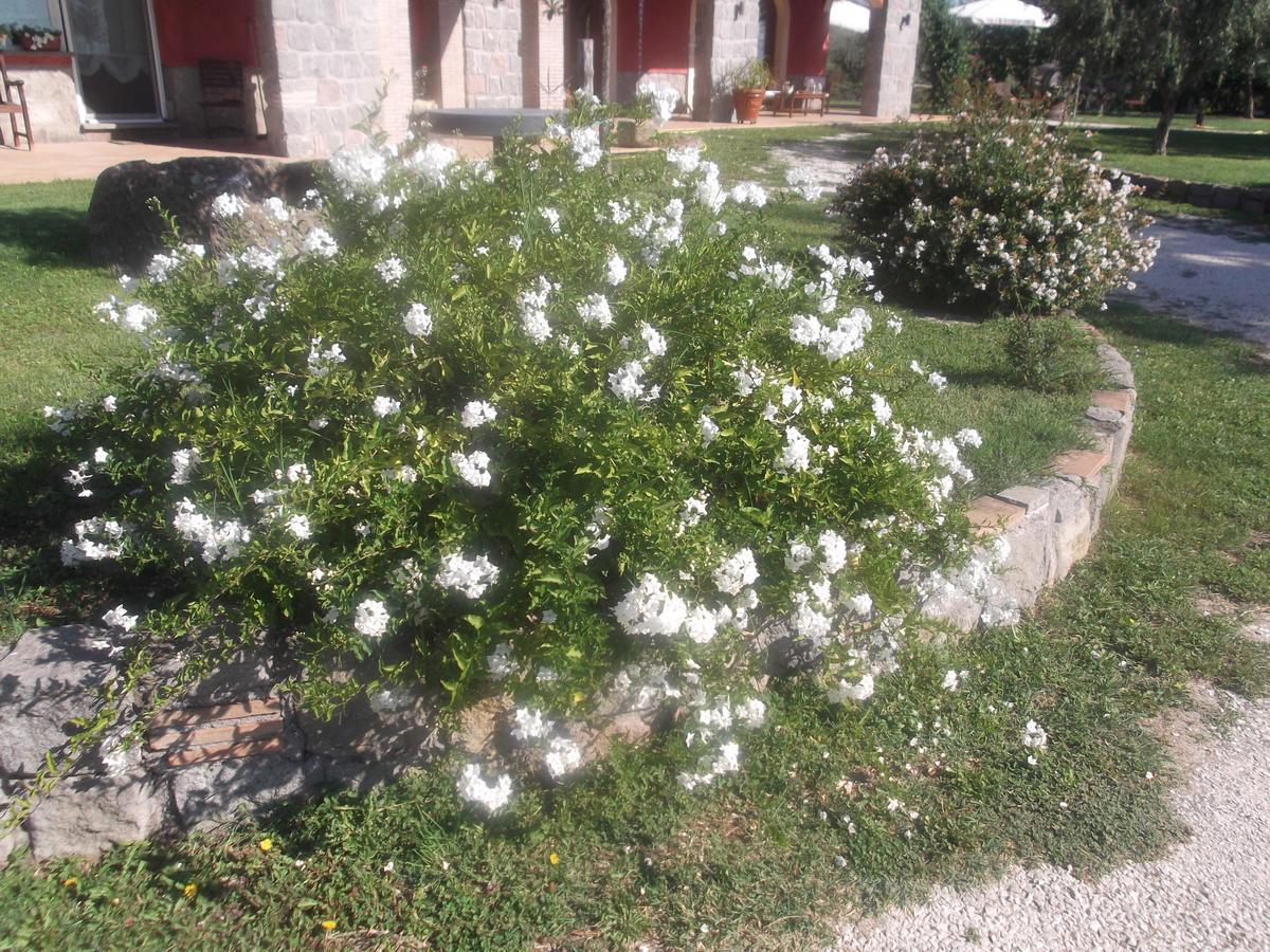 Agriturismo Casal Grande Canepina Eksteriør billede
