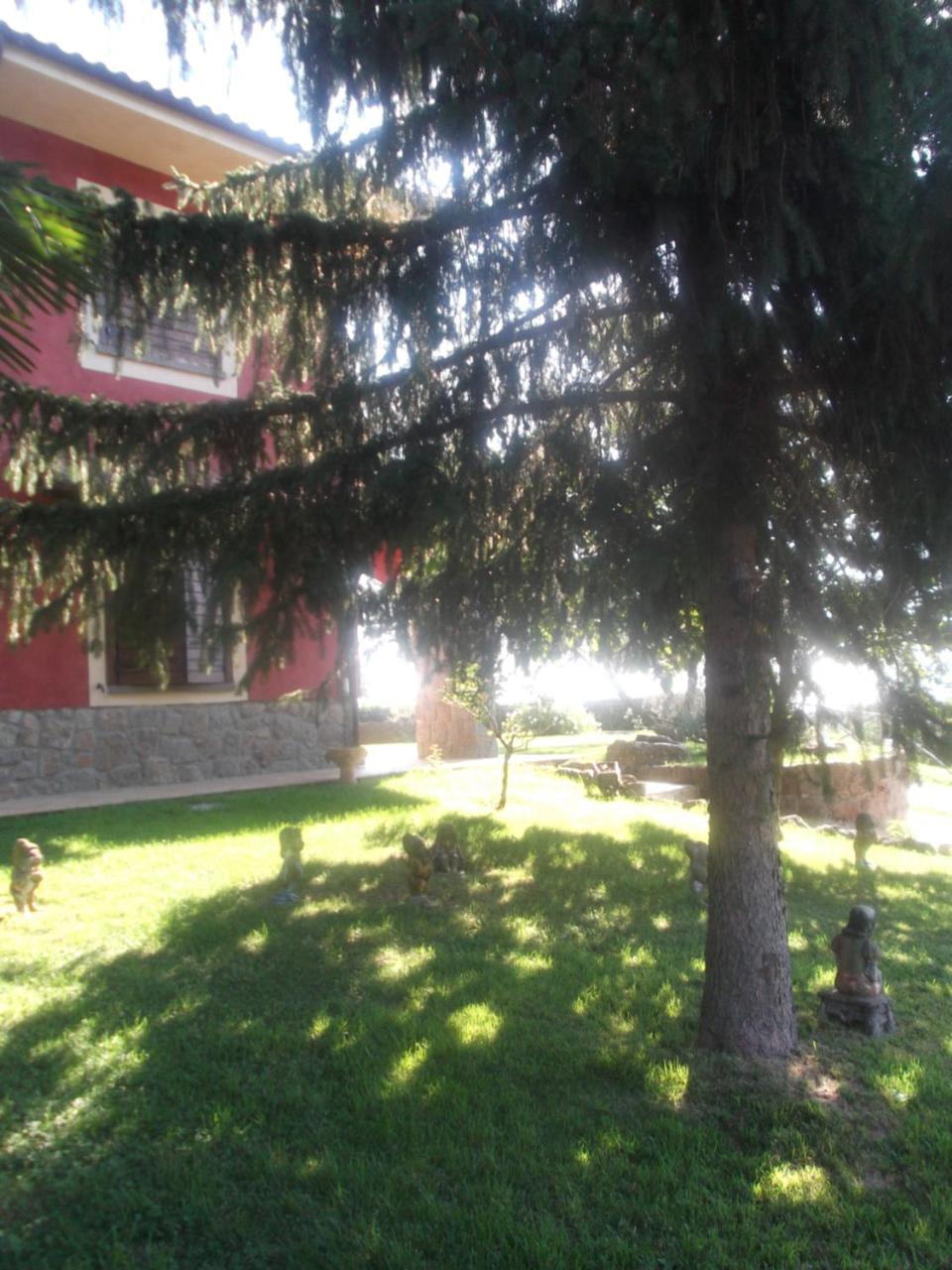Agriturismo Casal Grande Canepina Eksteriør billede
